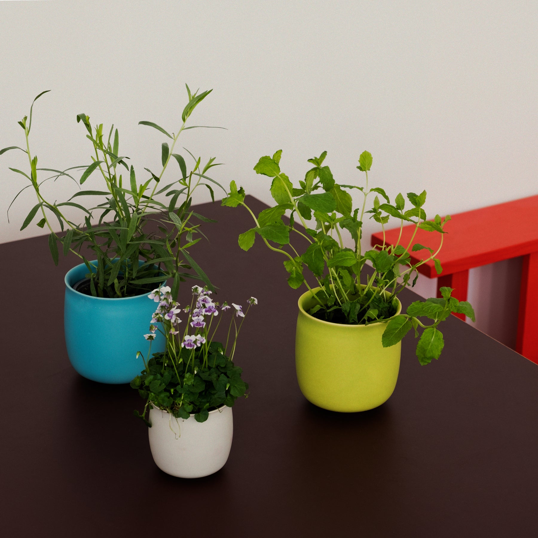 alev-ebuzziya-siesbye-alev-cup-medium-set-of-2-pcs-misty-grey-us-4659213336625_2.jpg